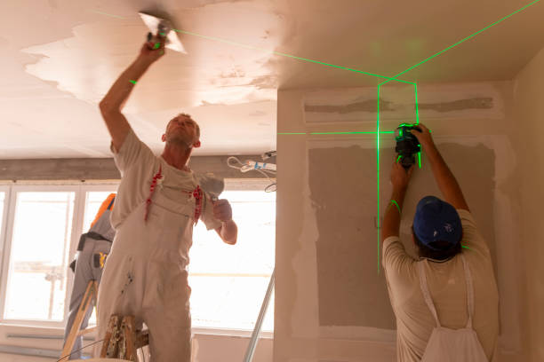 Best Biohazard Mold Removal  in Potosi, TX